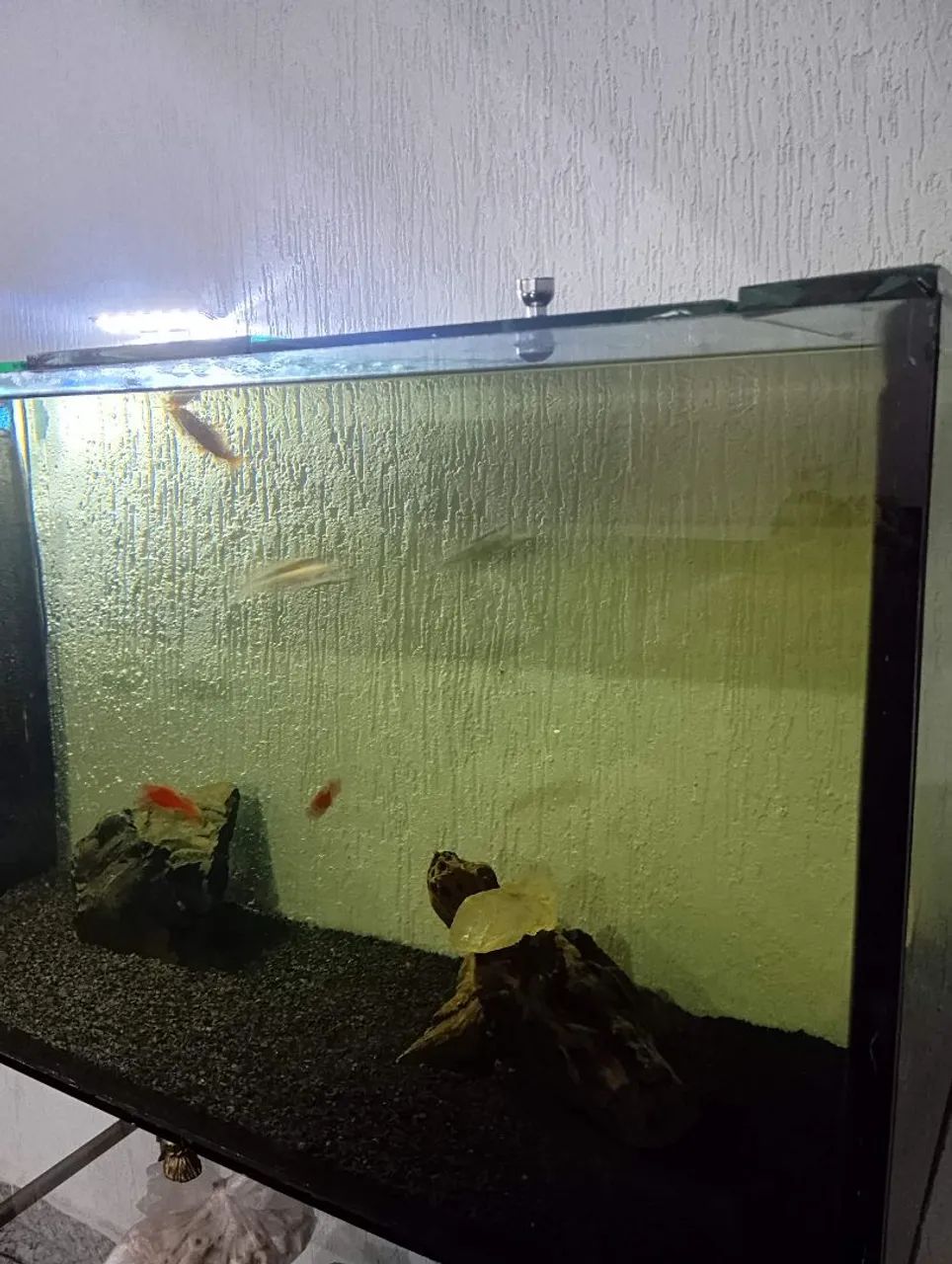 SUMP 200L VIDRO 10MM - Foto 3
