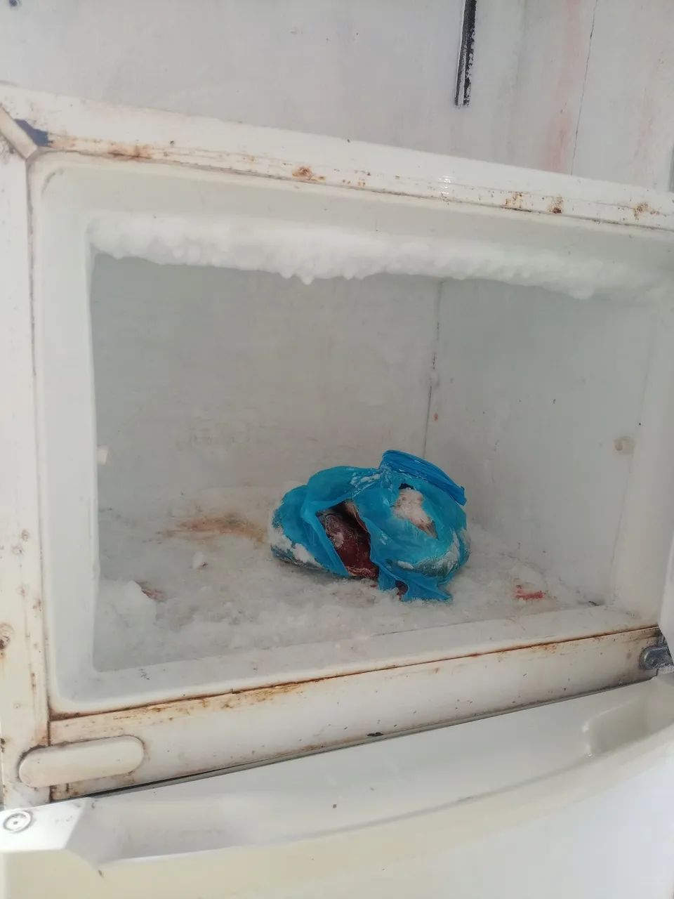 Geladeira  - Foto 2