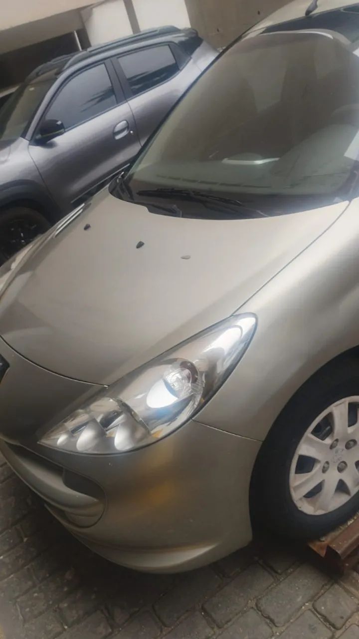 Peugeot 207 XR 1.4 FLEX 8V 3P 2013