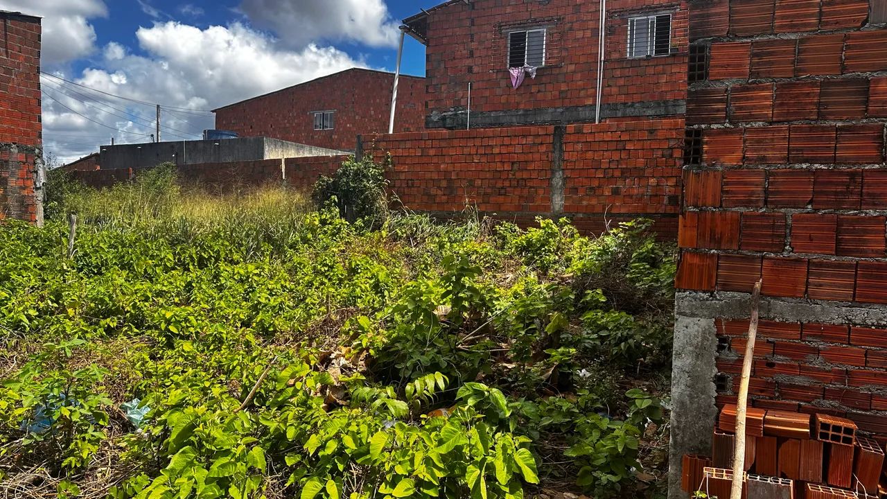 Terreno 9x20 na Paupina