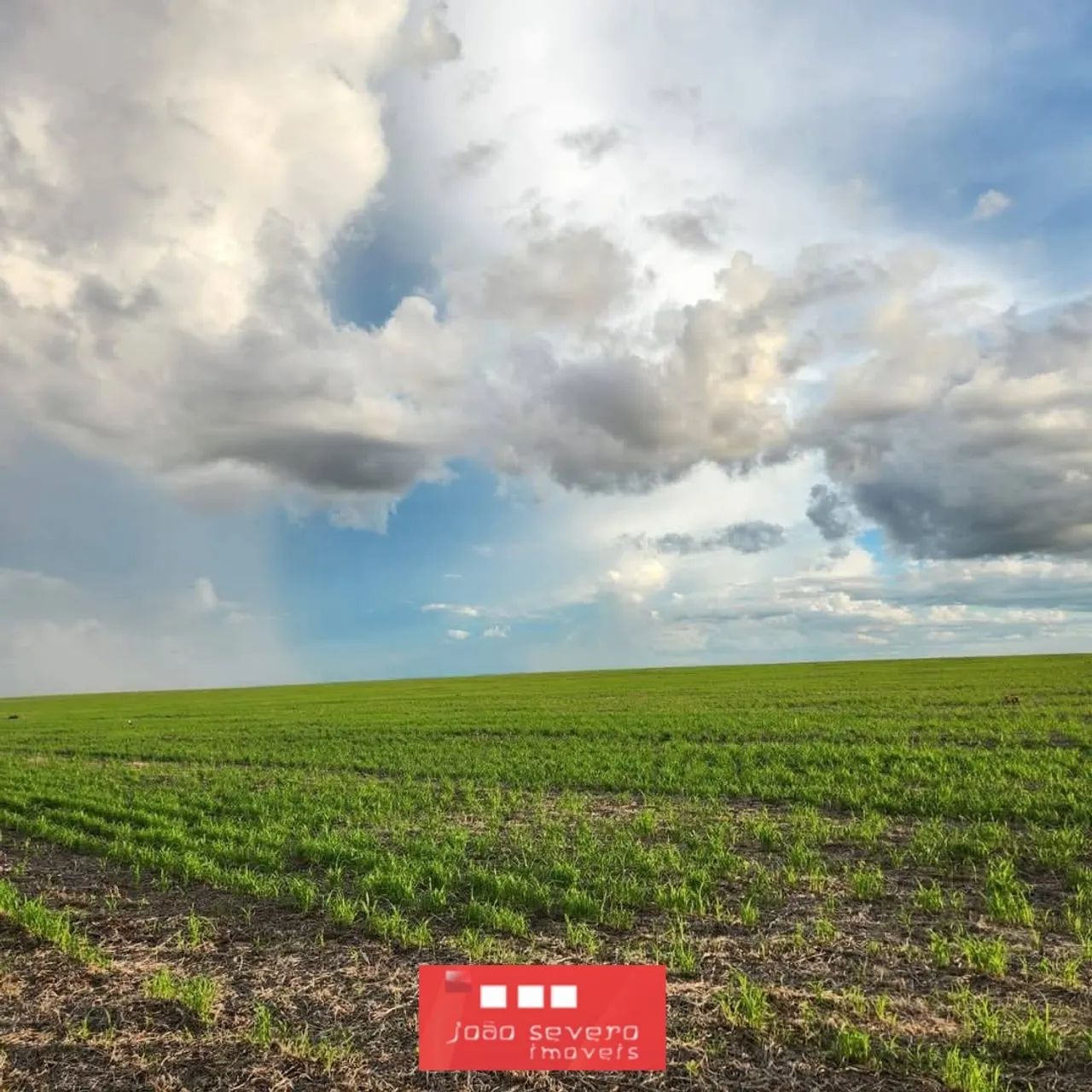Fazenda para Venda em Ribeirão Cascalheira - Foto 4