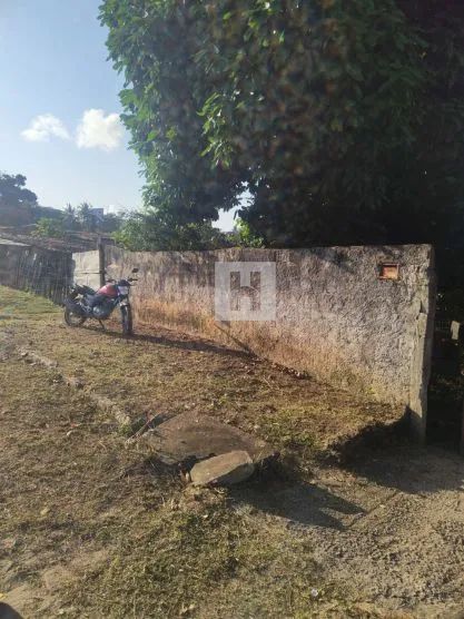 Lote / Terreno - Oitizeiro