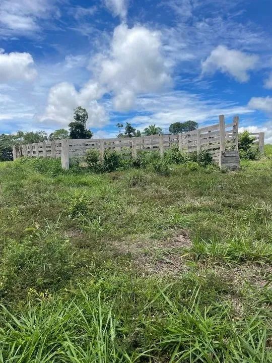Propriedade rural de 120 hectares em Roraima/Rorainopolis  - Foto 3