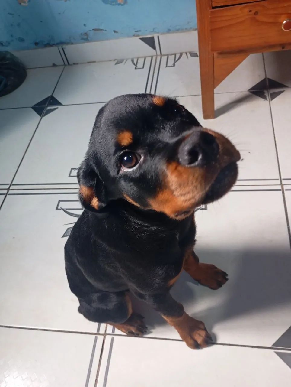 Tou vendo a esse preço por quê vou embora e tenho que vender ele rapidinho antes de ir. - Foto 3