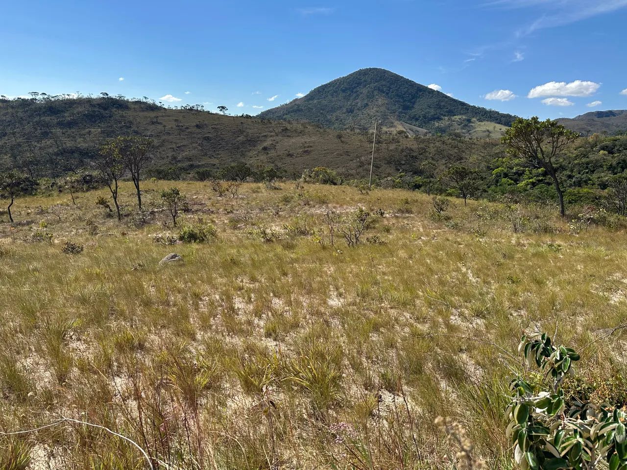 Fazendinha imperdível! 20 mil mts!!! - Foto 3