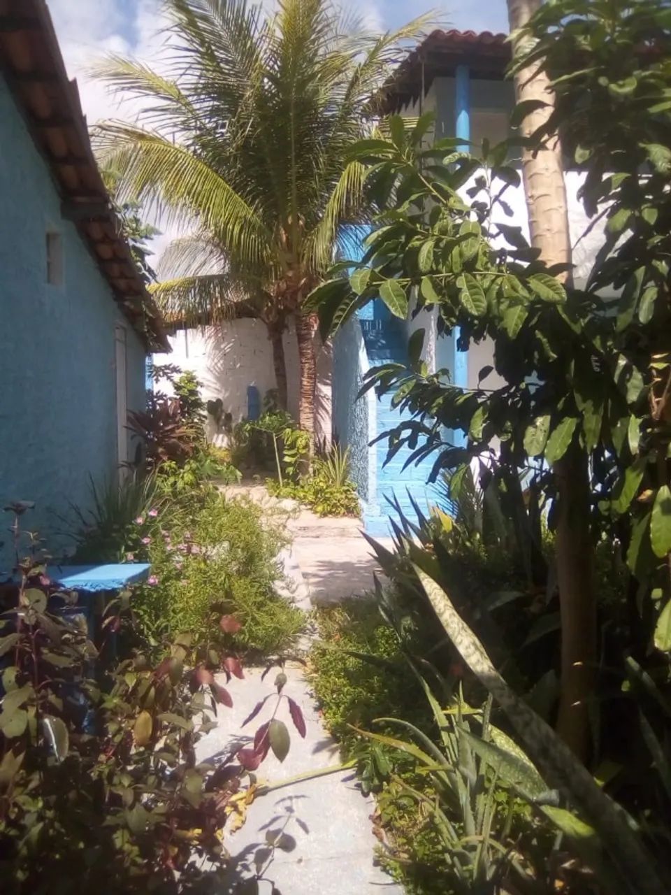 Apartamento para Reveillon em Parajuru - Foto 4