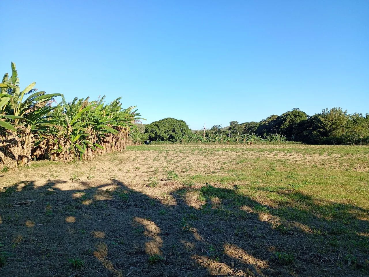 SÍTIO - JACERUBA - RJ - Foto 4