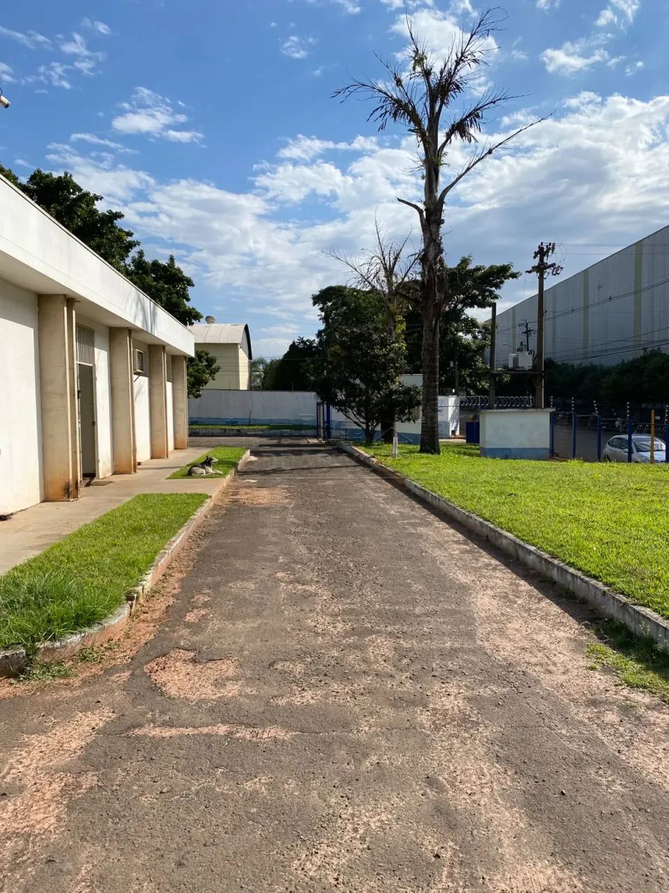 Galpão Comercial para Locação de sua Empresa - Foto 3