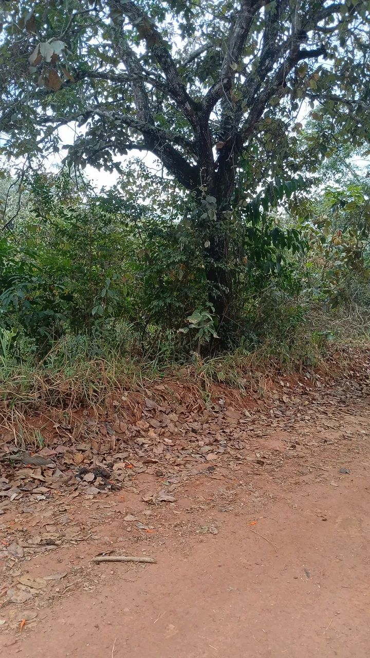 Lote em Mateus Leme bairro Tiradentes - Foto 5