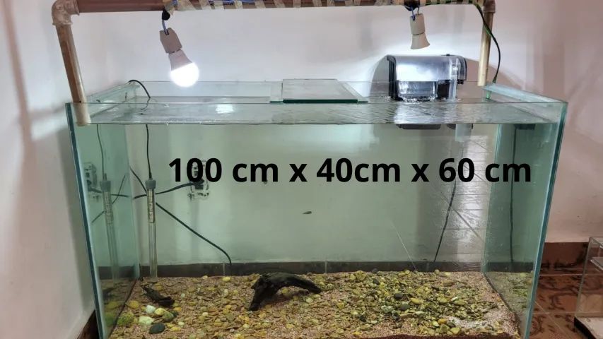 Aquário 200 Litros Completo (1 metro) + Aquário Peq + 3 Beteiras e Equipamentos - Foto 4