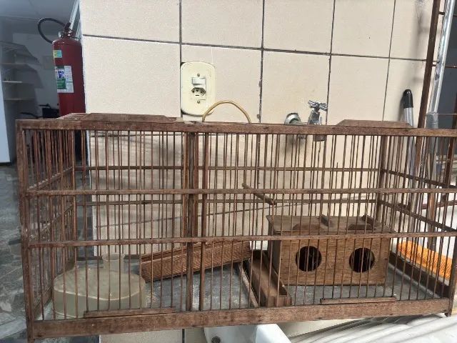 Gaiola / voador - Foto 3
