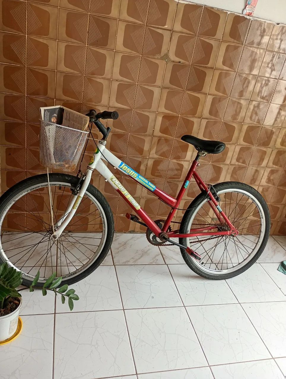 Bicicleta 
