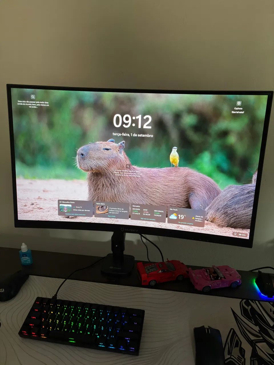 Monitor Husky Boreal 24? 180Hz 