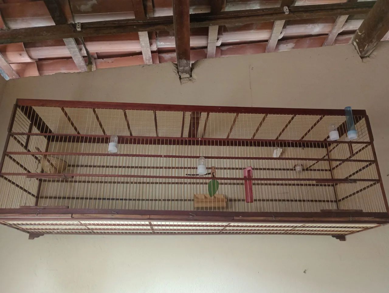 Vende-se voador no preço 