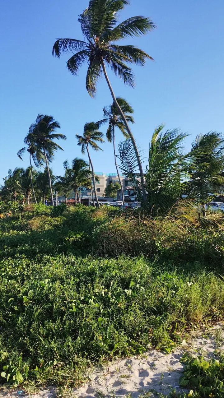 Casa em Tamandaré  - Foto 4