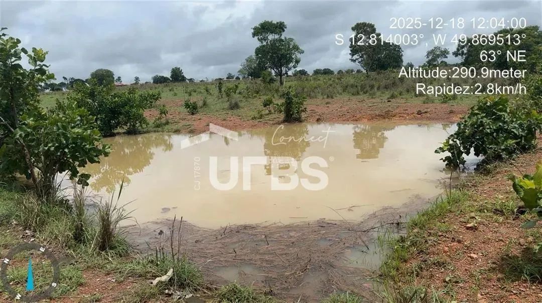 FAZENDA 90 ALQUEIRES - Foto 5