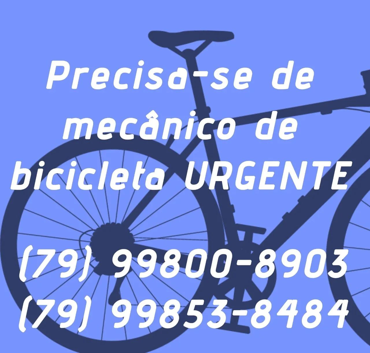 Mecânico de bicicleta 