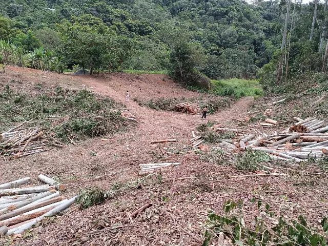 Foto - Santa Leopoldina - 