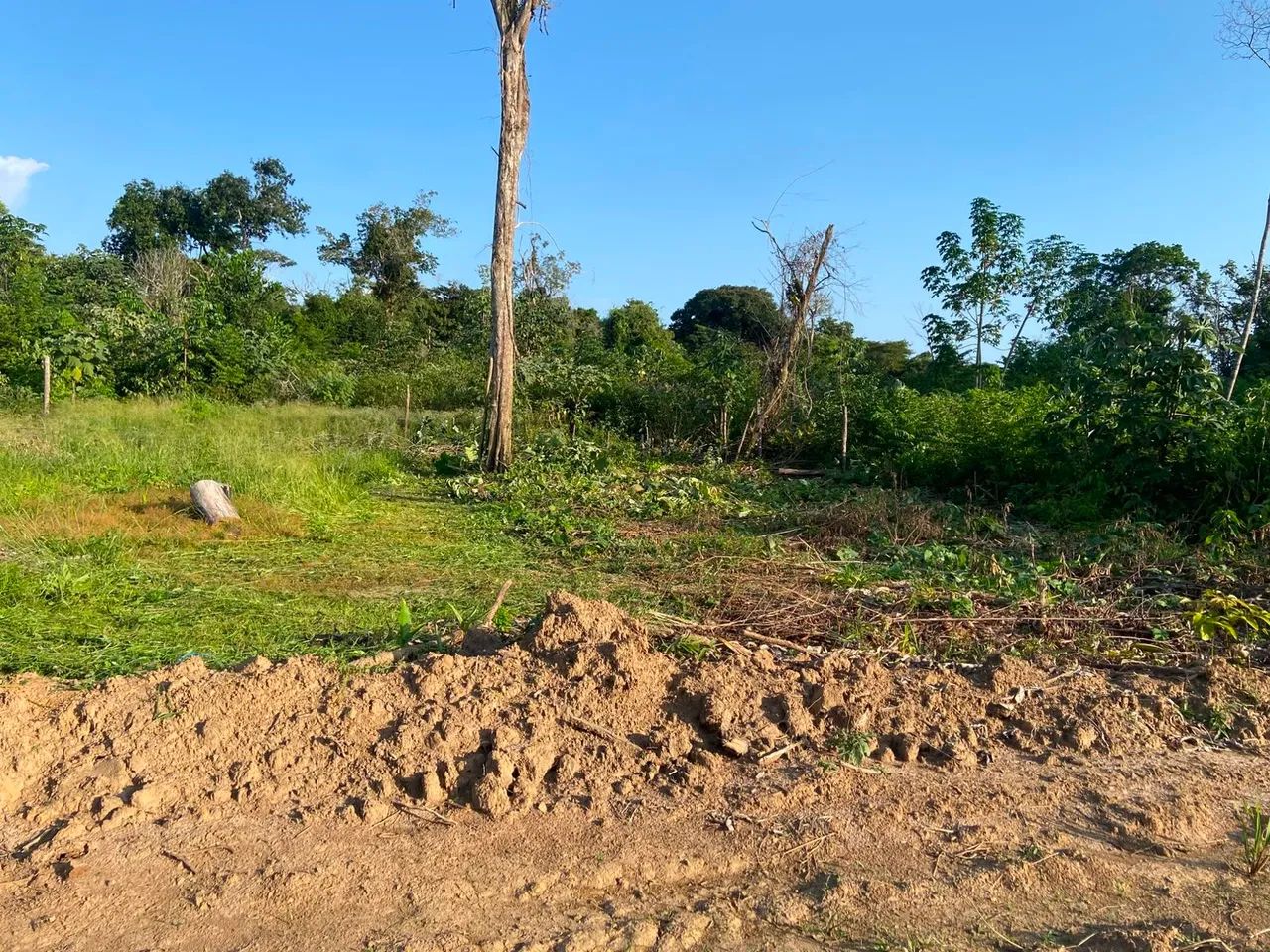 Terreno 10×25 - Foto 4