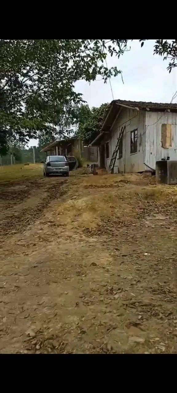 Vendo sitio em Ascurra 