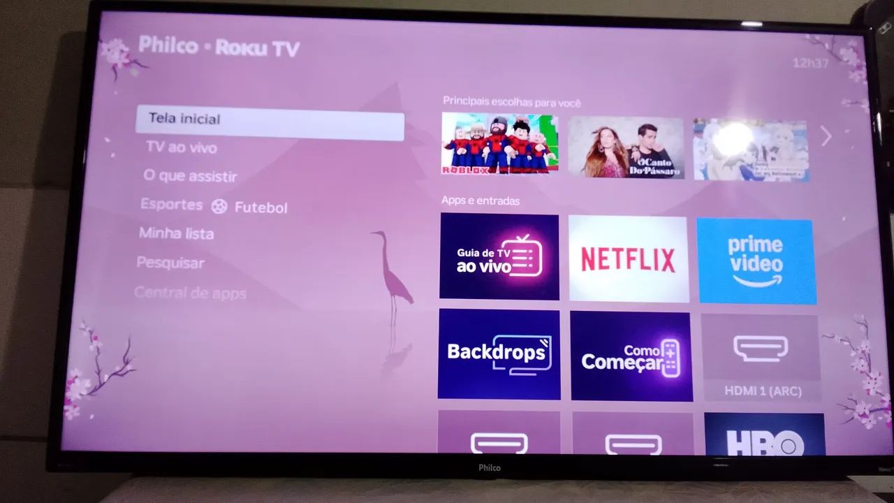 Televisão 