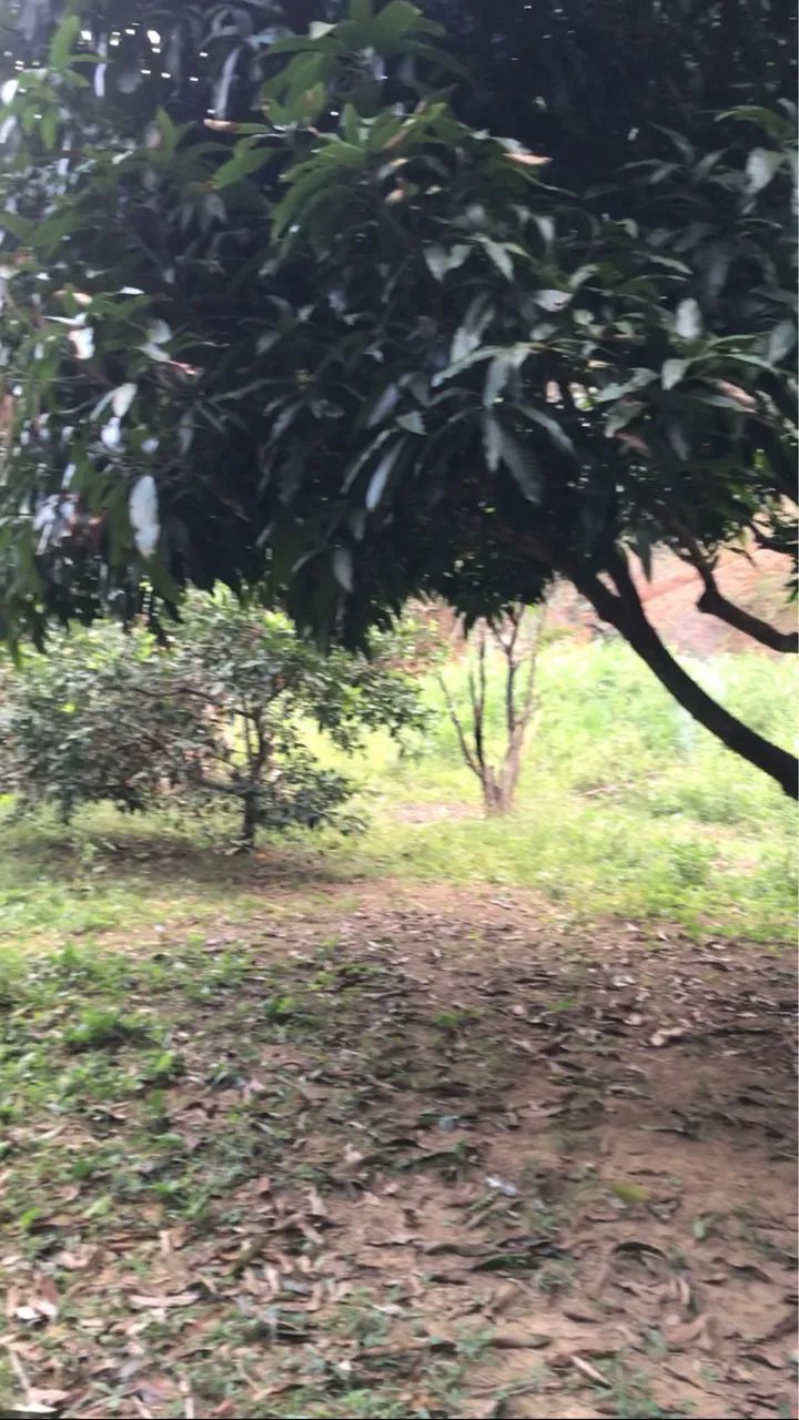 Chácara Direto com o proprietário! Domingos Martins com casa piscina riacho - Foto 7