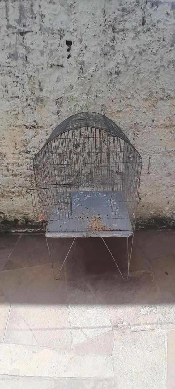 Gaiola para calopsitas