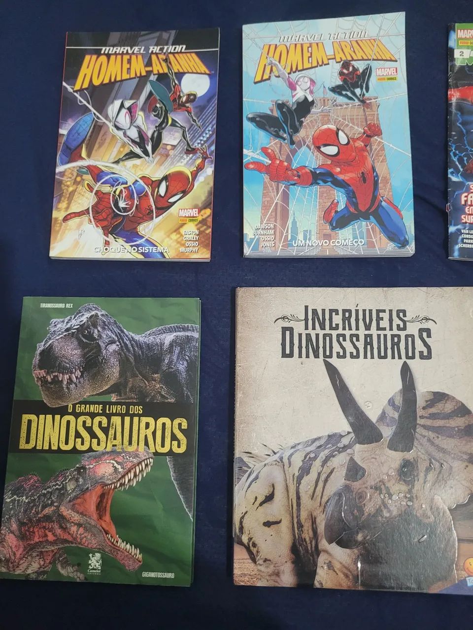 Livros 