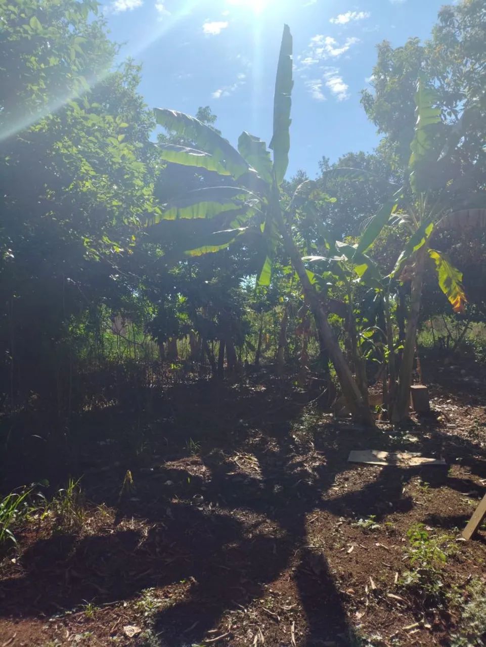 Vende se ou troca sítio  - Foto 2
