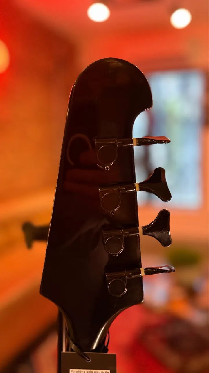 Thunderbird Nikki Sixx - Foto 4