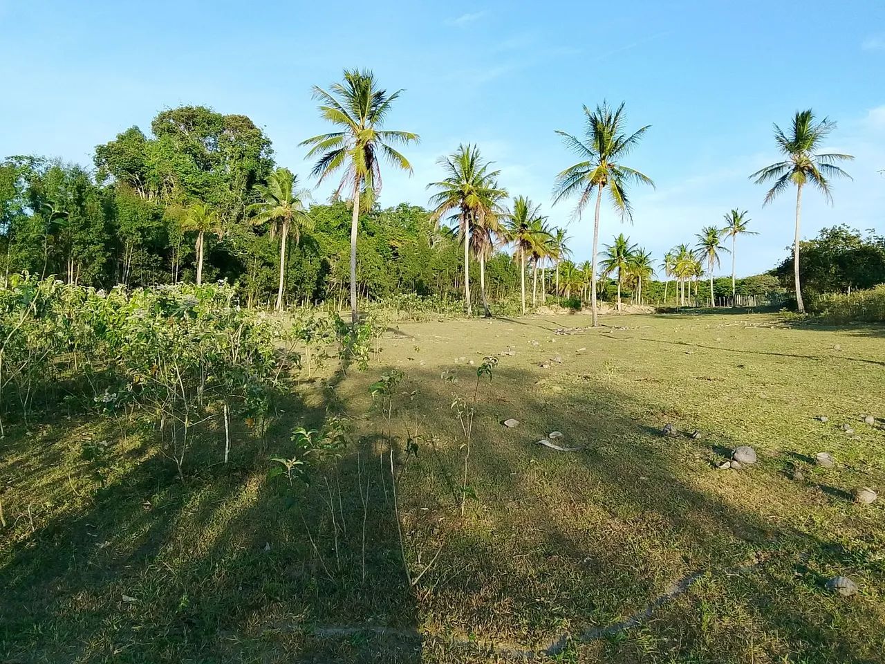 Vendo propriedade no povoado tombo  - Foto 2