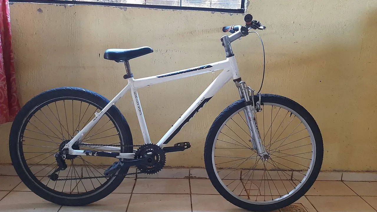 Aro26 adulto  - Foto 5
