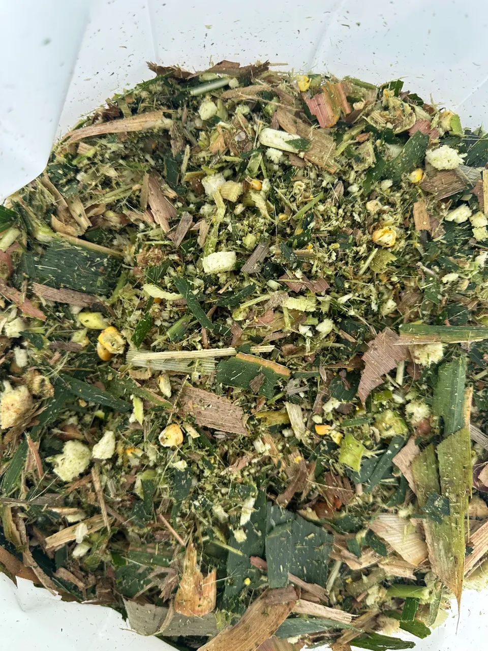 SILAGEM DE MILHO ($0,75 o Kg)