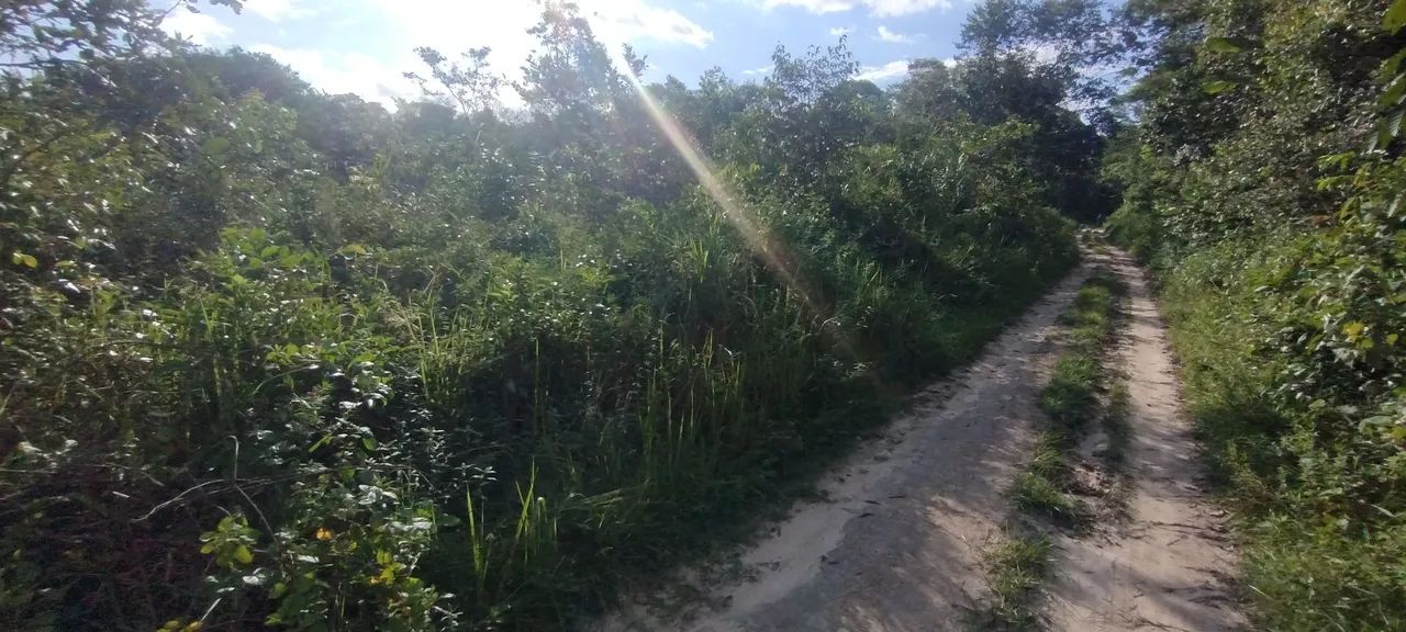 Terreno em Mosqueiro  - Foto 4