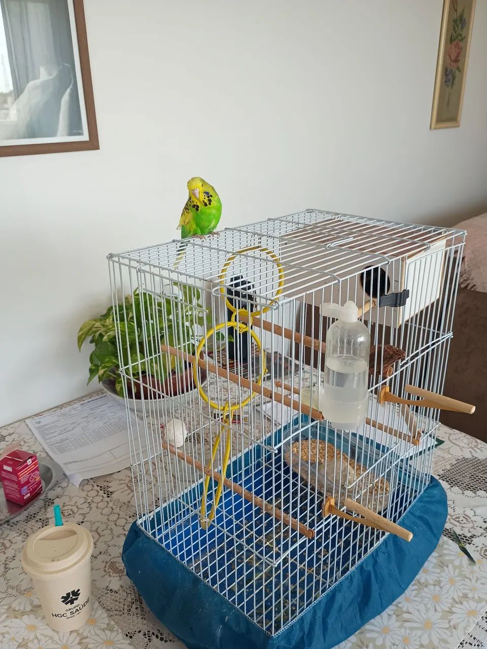 Gaiola completa. - Foto 2