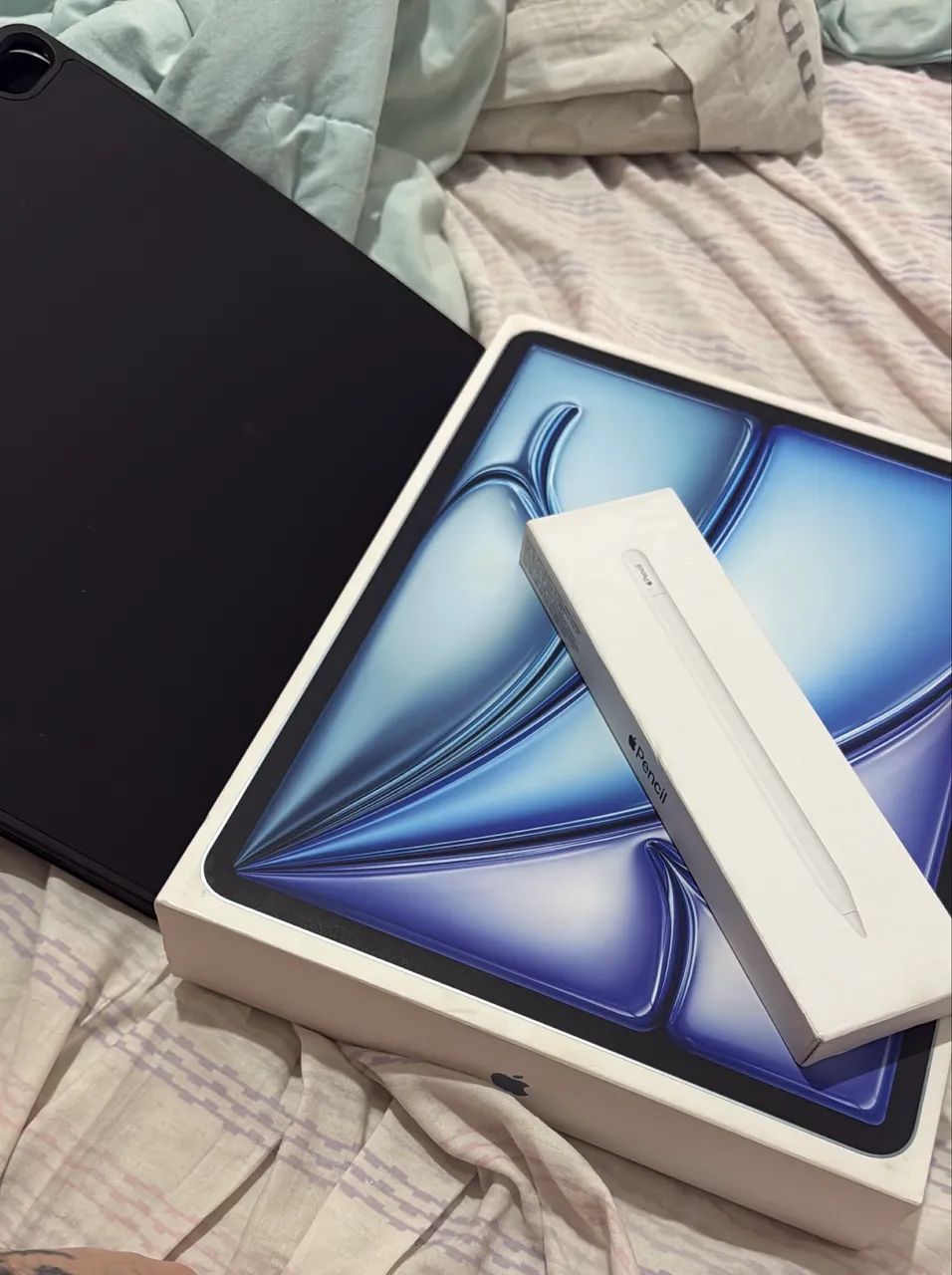 Ipad Air  M2 13 Polegadas