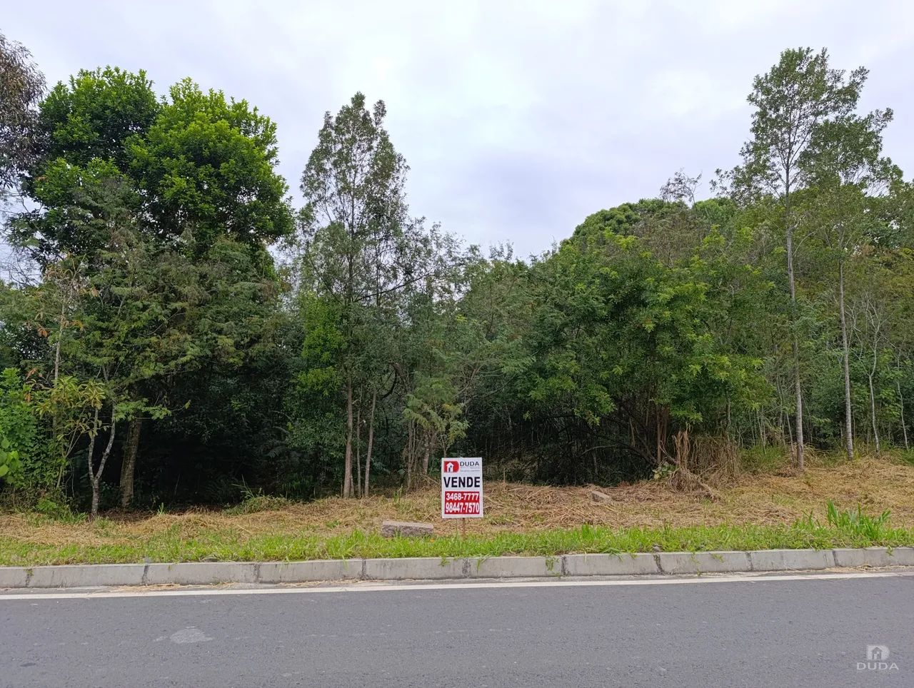 Terreno Laranjinha