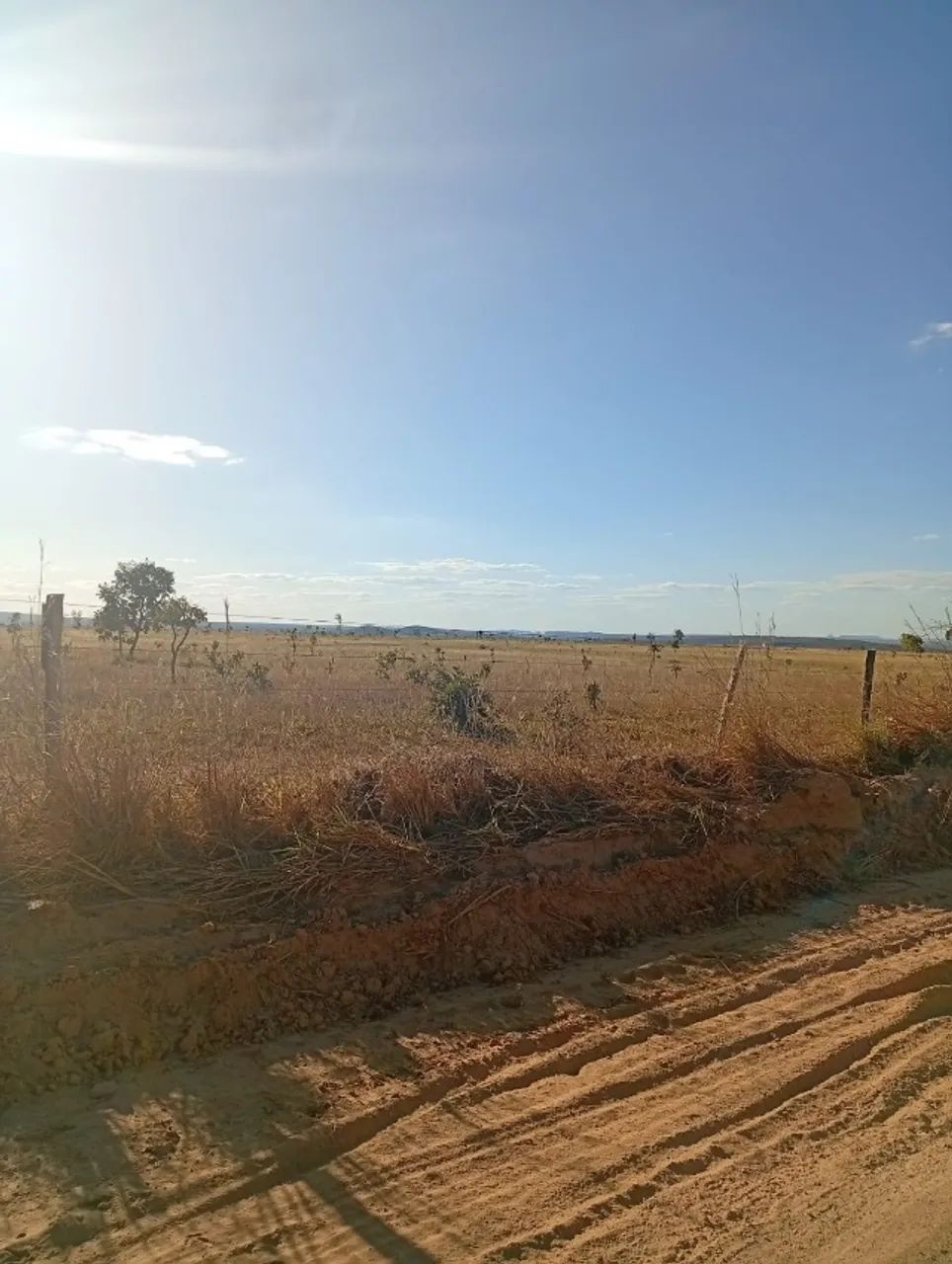 Forrageira grande porte - Foto 4