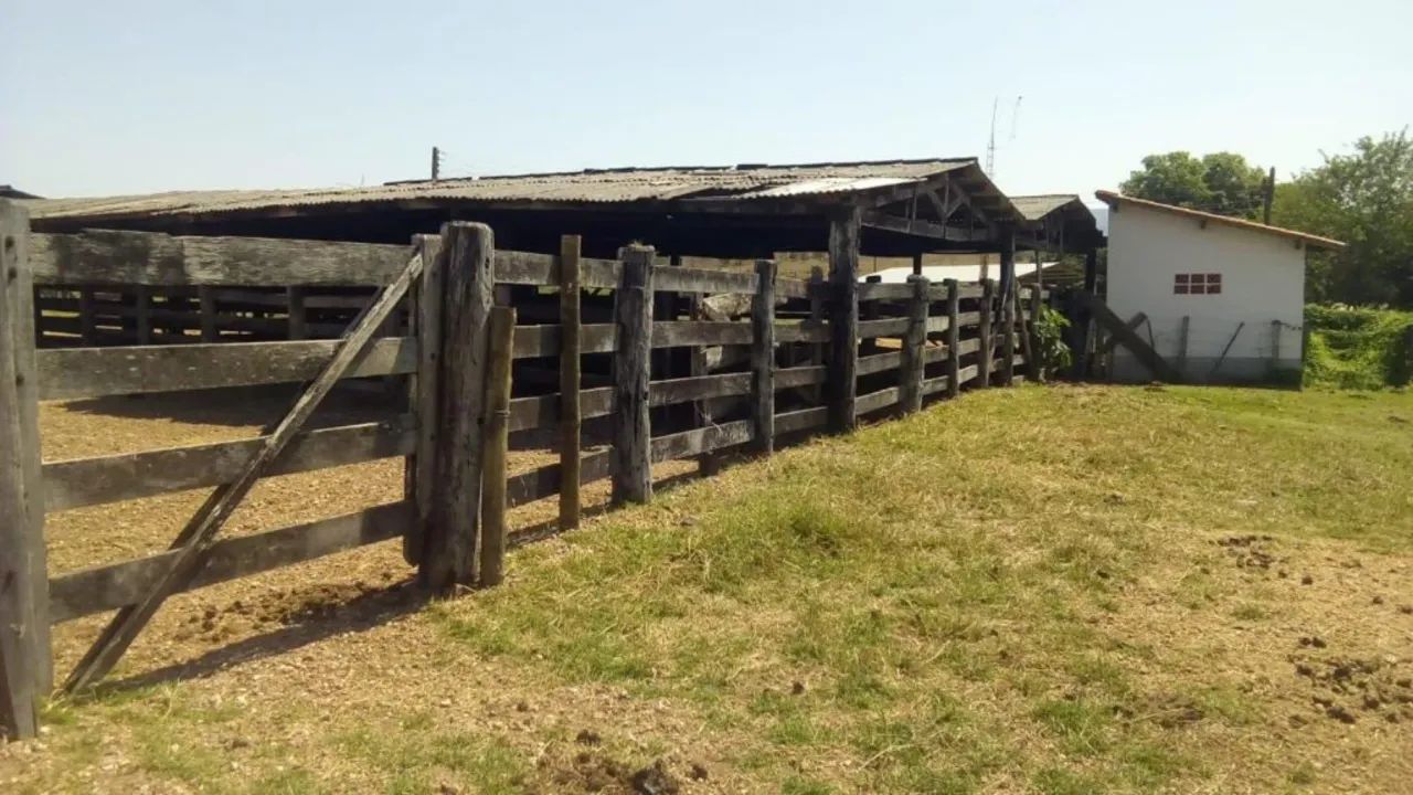 Fazenda Extra 151 Alqueires - Dupla Aptidão! - Foto 2