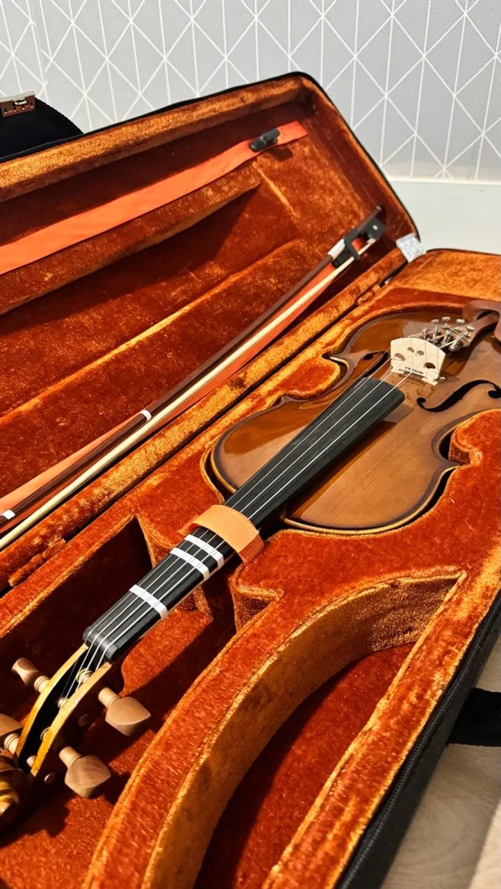 Violino eagle  - Foto 3