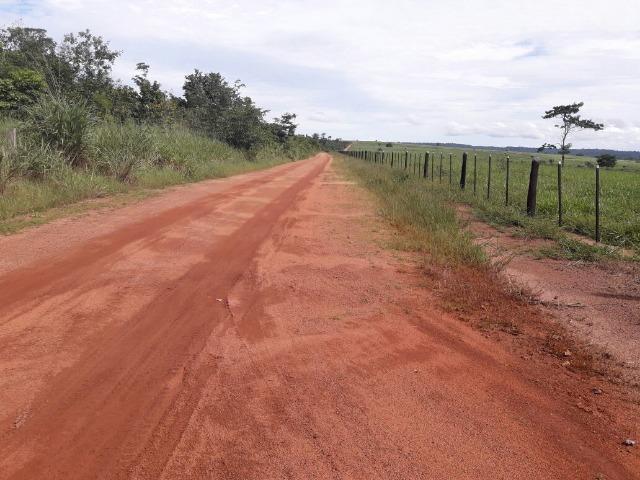 Fazenda de 261 alqueires, com 250 aberto 30 km de Nova Santa Helena -MT