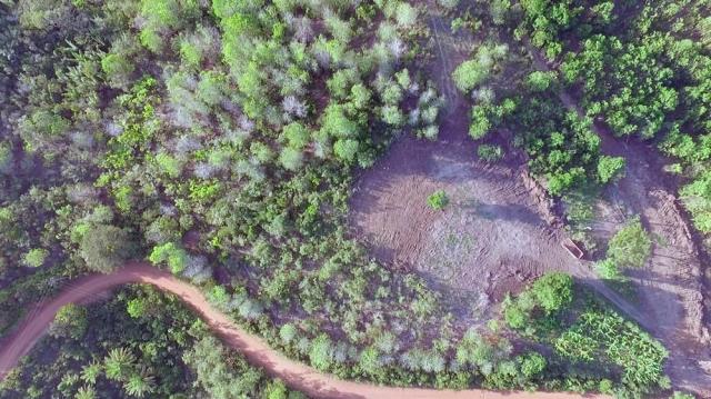 Fazenda em Igrapiuna com acesso ao mar