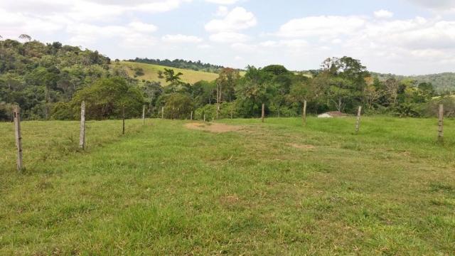 Fazenda 240 has em Tancredo Neves/BA - Foto 20