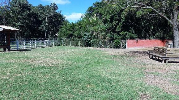Haras em Louveira estruturado - Foto 9