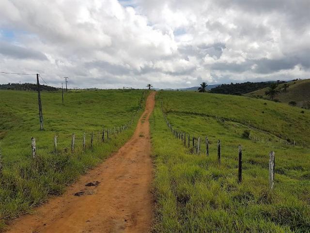 Fazenda 534 has em Tancredo Neves - Foto 16