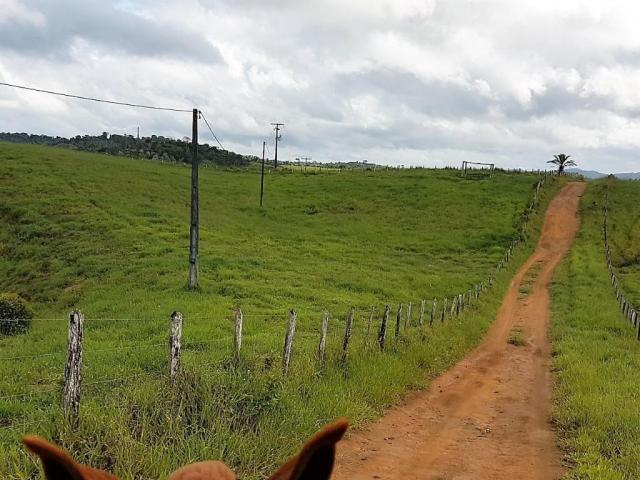 Fazenda 534 has em Tancredo Neves - Foto 13