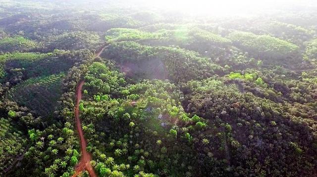 Fazenda em Igrapiuna com acesso ao mar - Foto 3