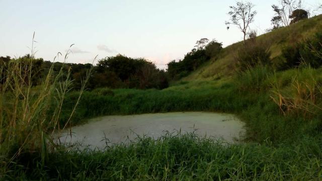 03 Hectares Com Água e Luz Em Chã Grande - PE - Foto 12