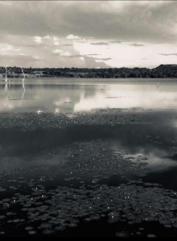 Chácara lago do manso com 3 dormitórios à venda, 150000 m² por r$ 400.000 - zona rural - c - Foto 3