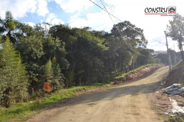Terreno área de 12.100 m² r$ 2.200.000 - colônia rio grande - são josé dos pinhais/pr - Foto 2